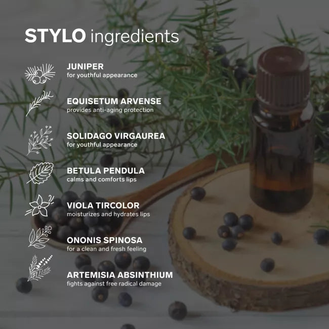 LELO MAKEUP - STYLO Lipstick - Creamy Matte Lipstick